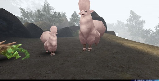 画像ギャラリー No.013のサムネイル画像 / 「トーラムオンライン」,新ボス“クースト”や新たなマップが追加される新ストーリーミッション「予想外の知己」を配信開始