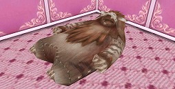 ���������꡼ No.008�Υ���ͥ������ / �֥ȡ���४��饤��ס����ۻҥ�����դθ��������ʤɤ��о줹��Х�󥿥�����ꥯ�����Ȥ�����