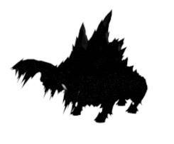 ���������꡼ No.003�Υ���ͥ������ / �֥ȡ���४��饤��׿����ǡȥ���ɥ������ȡɤȡȥ���ɥ쥤�ɡɤ����