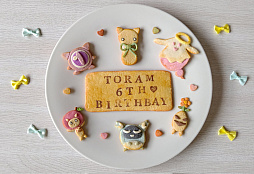 ���������꡼ No.004�Υ���ͥ������ / �֥ȡ���४��饤��ס�7��ǯ������ȥ����󥭥��ڡ���򳫺�