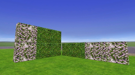 ���������꡼ No.004�Υ���ͥ������ / �����ץ��ա���ξ��̤�¸����֥ȡ���४��饤��פ˥ߥ˥�����֥ڥåȥ졼���פ����