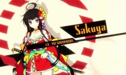 ꡼ No.009 | ΤդǤʪ졣3DSƻե󥿥SRPGSTELLA GLOWפΥץ쥤ݡȤǺ