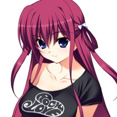 ꡼ No.016Υͥ / ꡼Υԥ󥪥պʤPS Vitaо졣֥ꥶβ̼¥ԥ󥢥ȡ ɥˡߤפ625ȯ