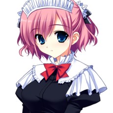 ꡼ No.017Υͥ / ꡼Υԥ󥪥պʤPS Vitaо졣֥ꥶβ̼¥ԥ󥢥ȡ ɥˡߤפ625ȯ