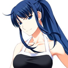 ꡼ No.018Υͥ / ꡼Υԥ󥪥պʤPS Vitaо졣֥ꥶβ̼¥ԥ󥢥ȡ ɥˡߤפ625ȯ