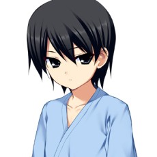 ꡼ No.024Υͥ / ꡼Υԥ󥪥պʤPS Vitaо졣֥ꥶβ̼¥ԥ󥢥ȡ ɥˡߤפ625ȯ