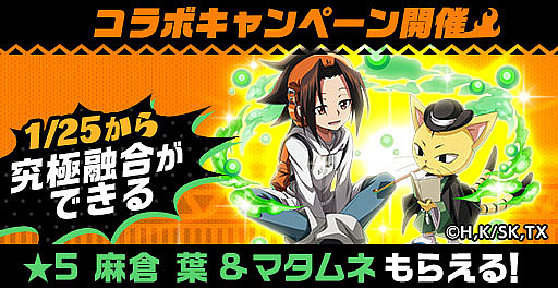 ���������꡼ No.002�Υ���ͥ������ / �֥����󥿥륹�ȡ��꡼�ס����쥹��Ķ�紶�պ�2023 -�紶�պ�-��1��15����곫��