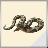 ꡼ No.004Υͥ / WANDER CROWN׻Ͽ5ˡ˥ڥ4Ƥθ