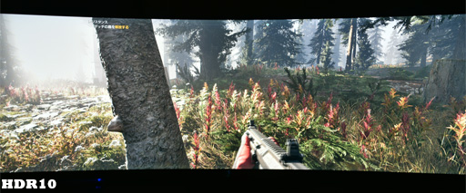 ꡼ No.003Υͥ / ʡFreeSync 2ǥϲѤ롩 бǥץ쥤бǳǧƤߤ