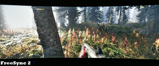 ꡼ No.004Υͥ / ʡFreeSync 2ǥϲѤ롩 бǥץ쥤бǳǧƤߤ