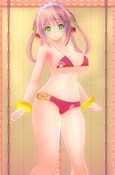 ���������꡼ No.005�Υ���ͥ������ / ��VALKYRIE DRIVE -BHIKKHUNI-�ס��ְ������å��軰�ơפ���������ۿ�