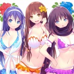 ꡼ No.003 | 100ʾDLC̥꡼֤줿VALKYRIE DRIVE -BHIKKHUNI- Bikini Party Editionפ2017ǯ112ȯ