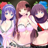 ꡼ No.004 | 100ʾDLC̥꡼֤줿VALKYRIE DRIVE -BHIKKHUNI- Bikini Party Editionפ2017ǯ112ȯ
