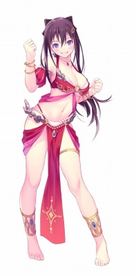 ꡼ No.007 | 100ʾDLC̥꡼֤줿VALKYRIE DRIVE -BHIKKHUNI- Bikini Party Editionפ2017ǯ112ȯ