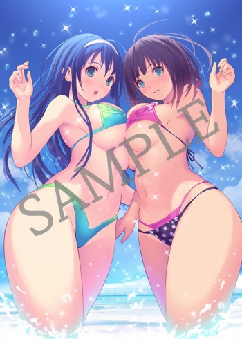 ꡼ No.021 | 100ʾDLC̥꡼֤줿VALKYRIE DRIVE -BHIKKHUNI- Bikini Party Editionפ2017ǯ112ȯ