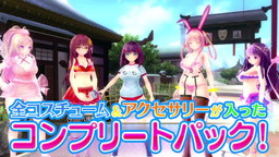 ꡼ No.008Υͥ / VALKYRIE DRIVE -BHIKKHUNI-סǡBikini Party EditionɤPV