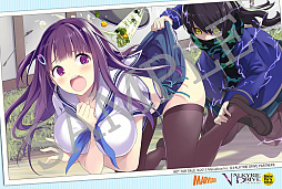 ꡼ No.006 | VALKYRIE DRIVE -BHIKKHUNI- Bikini Party EditionפŹŵ