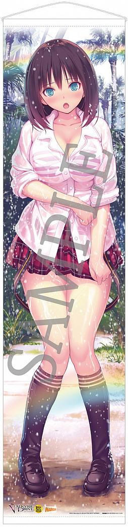 ꡼ No.014 | VALKYRIE DRIVE -BHIKKHUNI- Bikini Party EditionפŹŵ