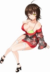 ꡼ No.004 | VALKYRIE DRIVE -SIREN-ץ쥤ɥ٥ȡ֥ӥǤפ򳫺