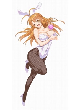 ���������꡼ No.011�Υ���ͥ������ / ��VALKYRIE DRIVE -SIREN-�ץ쥤�ɥ��٥�ȡ֥Хˡ��ǥС��˥󥰡��פ�����