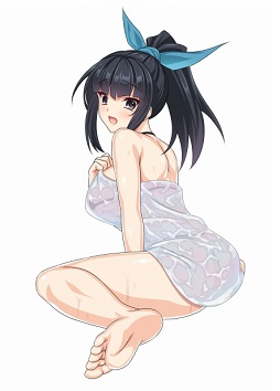 ꡼ No.011 | VALKYRIE DRIVE -SIREN-ײΥ쥤ɥ٥Ȥ