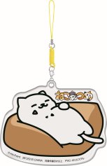 ꡼ No.011 | ֤ͤĤפΤ̤ߤ䥯꡼ʡȥåפ8ܤץ饤ʤ˽缡о