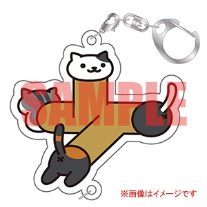 ���������꡼ No.001�Υ���ͥ������ / �֤ͤ����Ĥ�פΥ��ե������֥å��˹�ڥ��å��ե��åȤ��о�