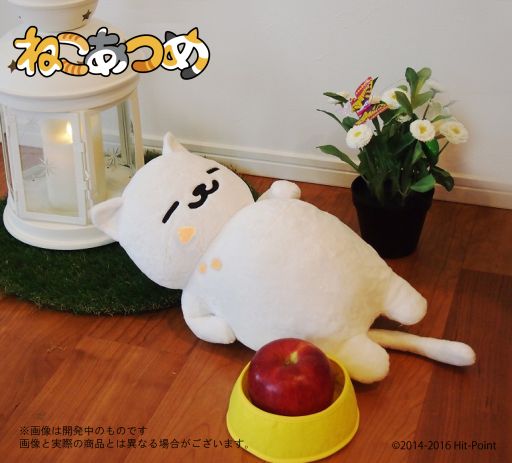 ���������꡼ No.002�Υ���ͥ������ / 1/1���餤���Υ��������֤ͤ����Ĥ�פΤޤ󤾤�����Τ̤�����ߤ�ȯ�����