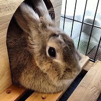 画像ギャラリー No.093のサムネイル画像 / ミュージック フロム ゲームワールド:特別企画 ゲーム音楽コンポーザーが選ぶ2017年この1枚