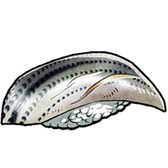 画像ギャラリー No.011のサムネイル画像 / 「AKIBA’S TRIP2」のチームが手がける新作アプリ「宇宙の寿司」がAndroid向けに本日配信開始。屋台で宇宙を駆け巡り,お客に寿司を振る舞おう