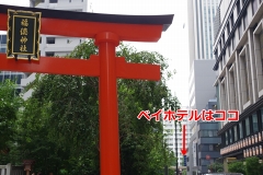 ���������꡼ No.004�Υ���ͥ������ / �����ϥ�������𾭤�̴�򸫤ޤ������֥��������񢡻��򤫤������ס����ܶ���Į�٥��ۥƥ�Υ���ܥ롼���ե��ȥ�ݡ��ȤǤ��Ϥ�