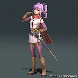 ꡼ No.003 | ȯ֥ɥ饴󥯥ȥҡIIפξޤȤᡣ省ޥץ쥤ʤɡˤʤݥȤ̤Υ꡼󥷥åȤȤȤ˾Ҳ