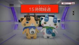 ���������꡼ No.014�Υ���ͥ������ / ���Ų������å��פȥ����ϥĤΥ���ܴ����Ų��ɥ饤�ַײ�ס��̥ܶ���ƥ�ġ��Ų������ɤ�������