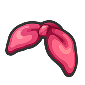 画像ギャラリー No.007のサムネイル画像 / クラウド,ユウナ,ライトニングが「妖怪ウォッチ ぷにぷに」に参戦。15名のキャラが登場する「ディシディア ファイナルファンタジー NT」コラボが11月16日に開幕