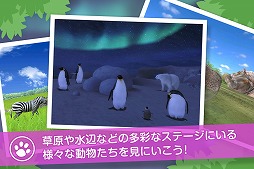 画像ギャラリー No.003のサムネイル画像 / 野生の動物を撮影する「リアルサファリ 」,有料版と無料版が配信スタート
