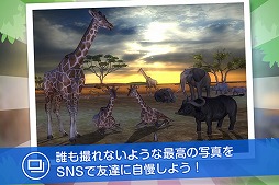 画像ギャラリー No.005のサムネイル画像 / 野生の動物を撮影する「リアルサファリ 」,有料版と無料版が配信スタート