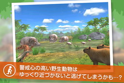 画像ギャラリー No.004のサムネイル画像 / Android版「リアルサファリ - 動物をさがそう」がauスマートパスで提供開始