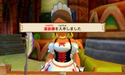 画像ギャラリー No.020のサムネイル画像 / 「モンスターハンター ストーリーズ」,対戦イベント「青怪鳥ルール」を本日配信