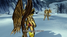 ꡼ No.008 | Ʈ 른㡼סȿβƮΤ臘֥Хȥ롦֡ɡפʤɤΥ⡼ɤ䡤饯󤬸