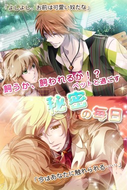 ���������꡼ No.006�Υ���ͥ������ / �������ϵ��Ͳ������ڥå�ã������������֥ҥߥĤν��˻�ȯ����פ��ۿ���