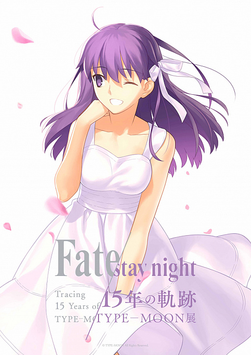 TYPE-MOONŸ Fate/stay night -15ǯε-ס κǿӥ奢뤬