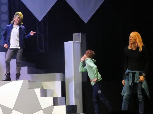 ���������꡼ No.009�Υ���ͥ������ / F��F�������ư�ٻ�!?���������奦������嫤������֥��������奦 �������ơ��� ��Rose Ecarlate���׸������ͥץ����ݡ���