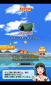 ���������꡼ No.003�Υ���ͥ������ / ����������ʤ���ε������!?���֥����ʥ��ͥ������פ�Ҳ𤹤�֡ʤۤܡ��������ޥۥ������̿�����900��