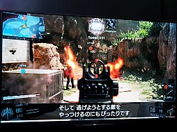 ꡼ No.009 | TGS 20152065ǯΥܡãĲ̵Ԥᤰ֥  ǥ塼ƥ ֥åץIIIץޥץ쥤θ