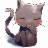 ꡼ No.006 | ֲ椬ȤλǭפAmazonץꥹȥۿ