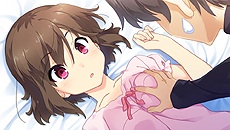 ꡼ No.009 | ֤Ҥޤ-Pebble in the Sky-ס֤ޤĤߤˡ ΤϤƤˡפPS VitaǤ2015ǯƤо졣Ԥcharacter1 2015ǻͷŸ