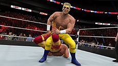  No.004Υͥ / WWE 2K15פۿSteamǳϡ2KŸWWE 2Kץ꡼ܺPCץåȥեǥӥ塼