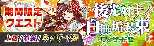 ꡼ No.005Υͥ / ֥åեСס塼֥饤ɥڡ613