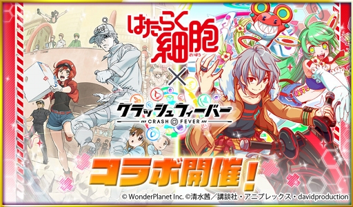 ���������꡼ No.001�Υ���ͥ������ / �֥���å���ե����С��ס�TV���˥�֤Ϥ��餯��˦�ץ���ܤ���������