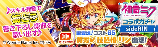 ���������꡼ No.014�Υ���ͥ������ / �֥���å���ե����С��פ��鲻�ߥ��ȤΥ������5�Ƥ�1��24�����鳫�š������ľ����������ܡ��ʥ���»�